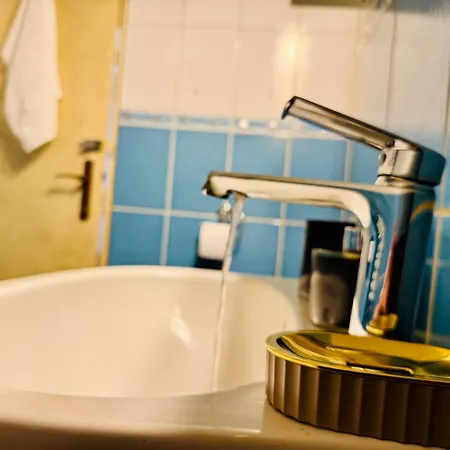 Sholiday Luxury Modern Cu 2 Dormitoare Temeşvar