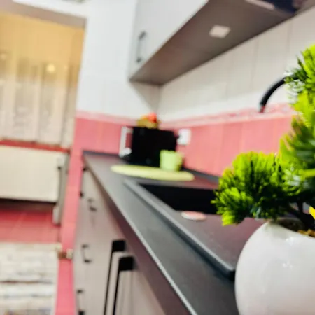 Appartamento Sholiday Luxury Modern Cu 2 Dormitoare *