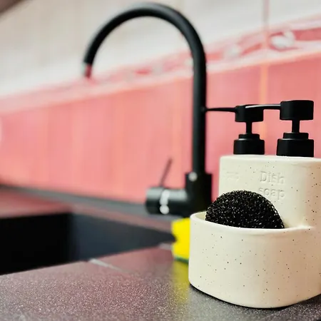 Sholiday Luxury Modern Cu 2 Dormitoare * Temeşvar