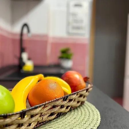 Sholiday Luxury Modern Cu 2 Dormitoare * Temeşvar