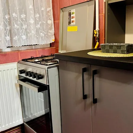 Daire Sholiday Luxury Modern Cu 2 Dormitoare Temeşvar