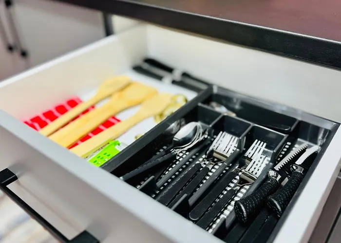 Sholiday Luxury Modern Cu 2 Dormitoare Timișoara