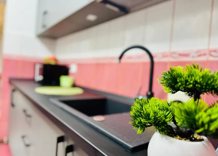 Sholiday Luxury Modern Cu 2 Dormitoare Apartament