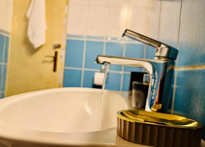 Sholiday Luxury Modern Cu 2 Dormitoare Timisoara