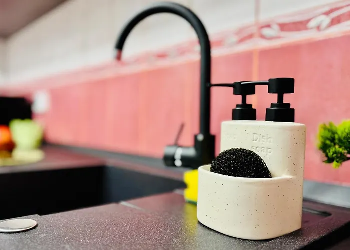 Sholiday Luxury Modern Cu 2 Dormitoare * Timişoara