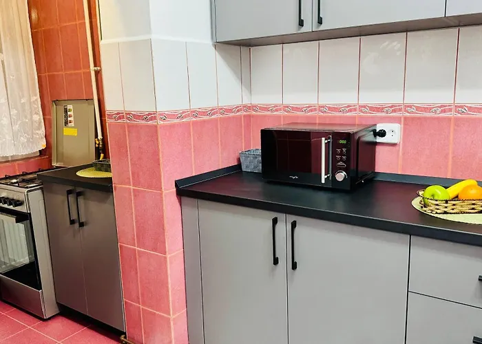 Sholiday Luxury Modern Cu 2 Dormitoare Timișoara