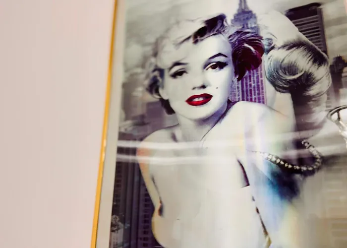 Sholiday Luxury Modern Cu 2 Dormitoare * Timisoara